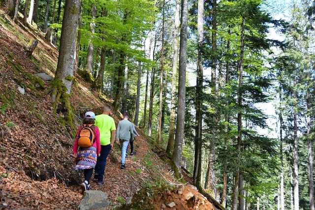 Zieht nicht nur Kinder in den Bann: Der Bannwald von St. Wilhelm  | Foto: Anita Fertl