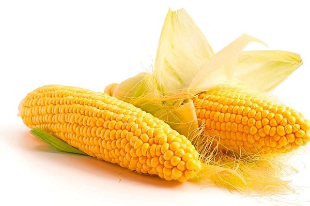 Mais ist eine der weltweit wichtigsten Nutzpflanzen.  | Foto: emuck  (stock.adobe.com)