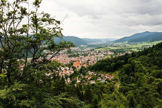 Blick vom Baumkronenweg  | Foto: Gabriele Zahn