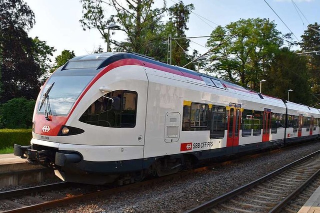 Ein Zug der Schweizerischen Bundesbahn...ahrer wurde tot geborgen (Symbolbild).  | Foto: Maja Tolsdorf