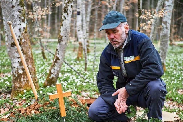 Frster im Totenwald: Martin Schuh kmmert sich um Bume – und um Grber