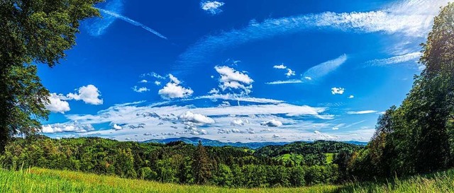 Der Blick geht vom &quot;Hohe Tag&quot...und dem noch schneebedeckten Feldberg.  | Foto: Paul Trenkle