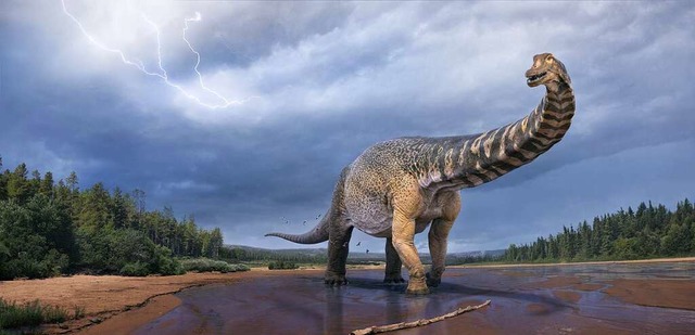 Eine knstlerische Darstellung zeigt den Dinosaurier Australotitan cooperensis.  | Foto: Vlad Konstantinov, Scott Hocknul (dpa)