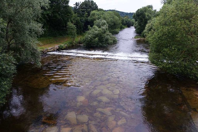 Die Wiese beschreibt Hebel als &#8222;Feldbergs liebligi Tochter&quot;.  | Foto: Roswitha Frey