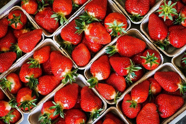 Wie viel eine Schale Erdbeeren kostet, hngt von vielen Faktoren ab.  | Foto: Andreas Arnold (dpa)