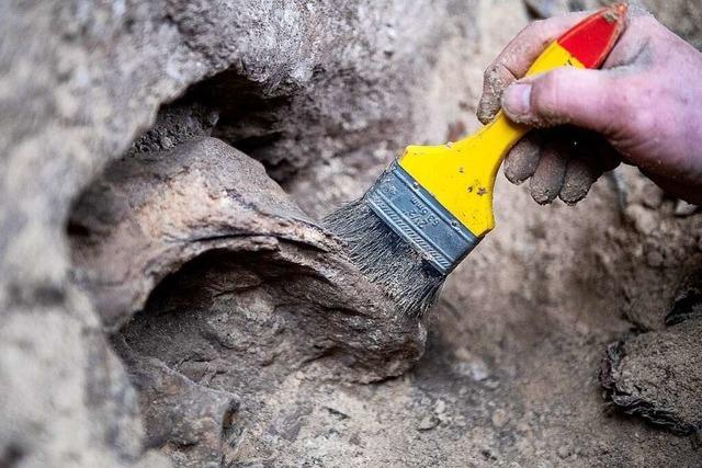 Archologische Sondierungen in Hgelheimer Neubaugebiet