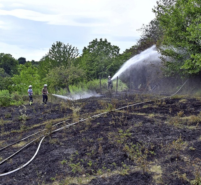 Ein  Gartenfeuer sorgte vor einem Jahr...r die Feuerwehren aus Lahr und Sulz.   | Foto: Wolfgang Knstle