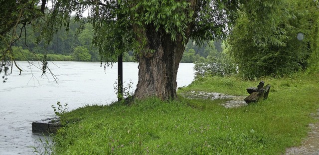 Die neuen Regenflle lassen das Rheinw...ienstagmorgen aus dem Wasser heraus.    | Foto:  Sabine Gems-Thoma