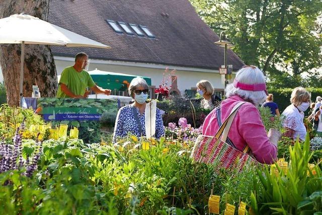 Mehr als 150 Aussteller prsentieren sich bei der Diga Gartenmesse in Rheinfelden