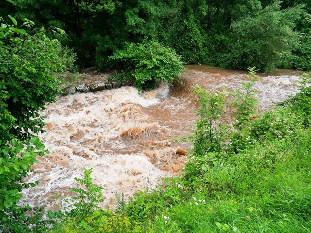 Die Wehra bei flingen wirkt wegen des aktuellen Hochwassers tosend.  | Foto: Michael Gottstein