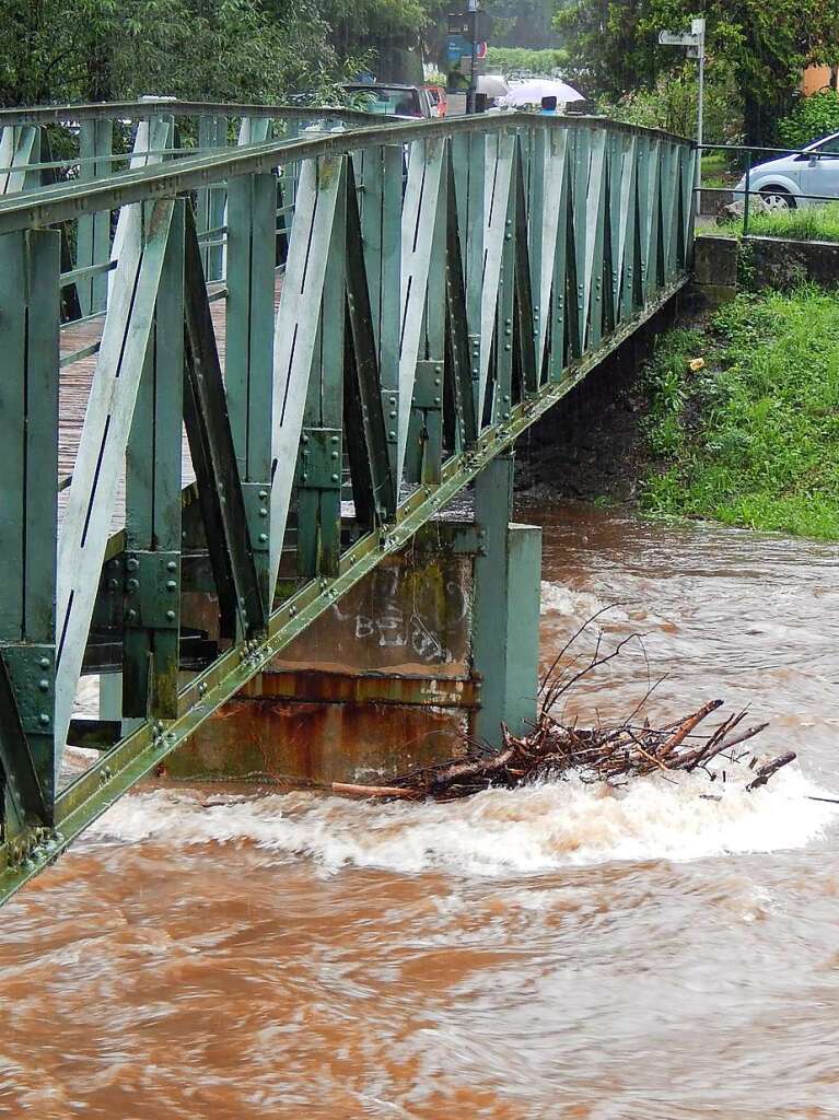 Bei Hochwasser verfing sich immer wieder Gestrpp am Pfeiler.