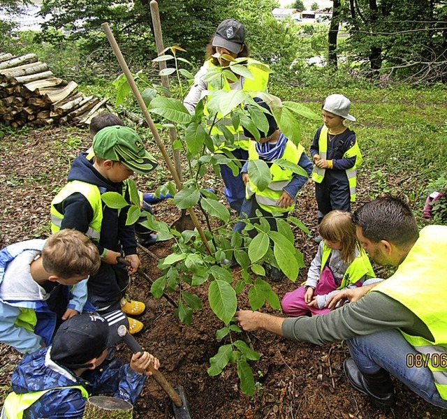 Der Kindergarten &#8222;In der Mhle&#8220; hat  seine Waldtage veranstaltet.  | Foto: Julia Lthi