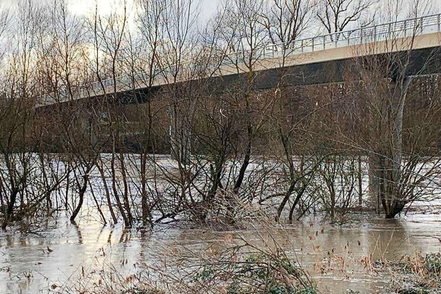 Bereits Ende Januar war die Rheinbrck...grund des Hochwassers gesperrt worden.  | Foto: Gemeinde Hartheim