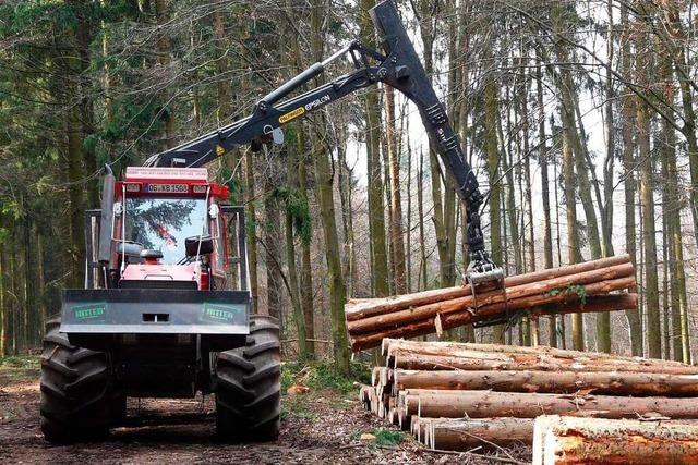 SPD im Kreis Lrrach fordert: Holz soll regional genutzt werden