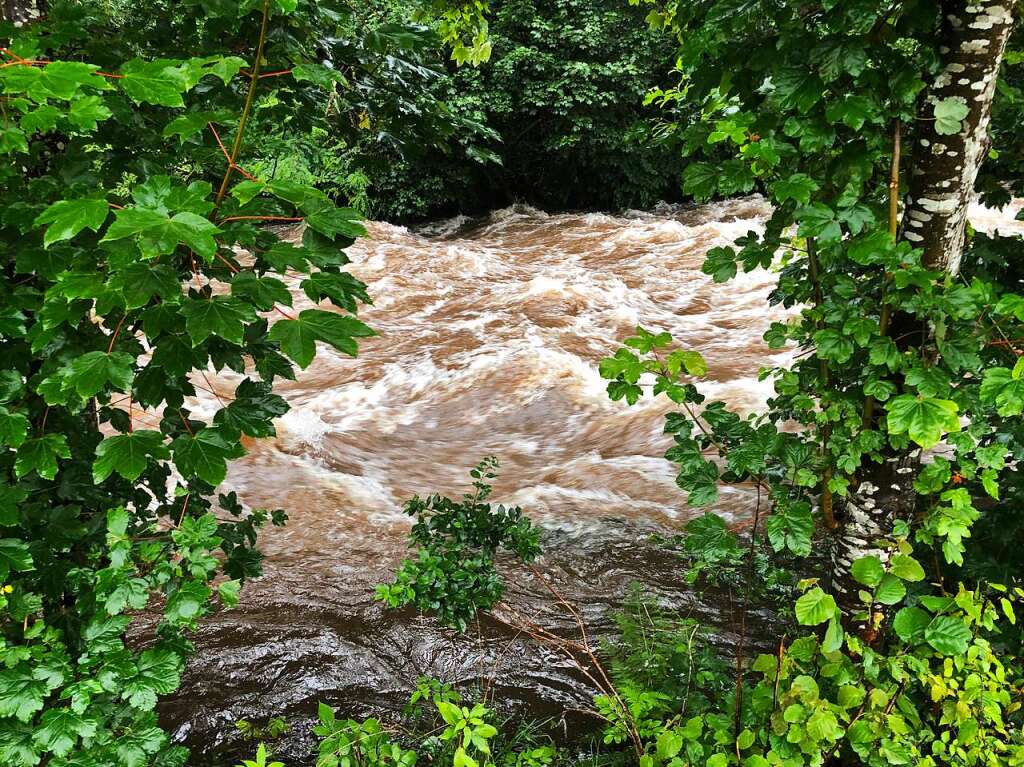 Hochwasser an der Wiese bei Schopfheim