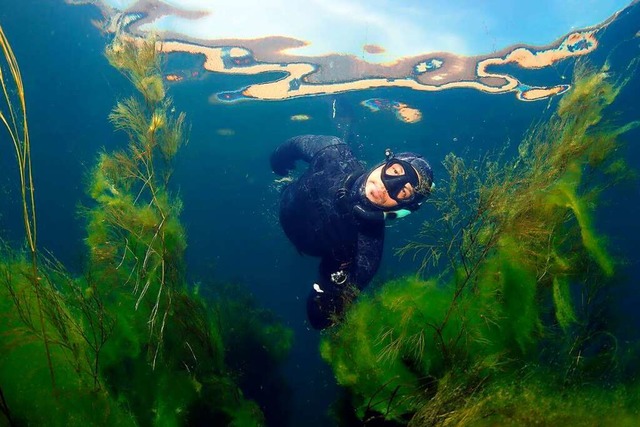 Die 70-Meter-Marke hat der Bleichheime...acht. Der Rekord zhlt trotzdem nicht.  | Foto: Matthias Siebert