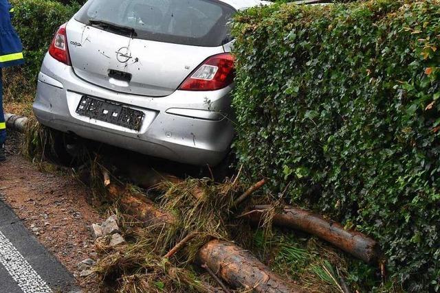 Fotos: Unwetter richten Schden im Landkreis Lrrach an