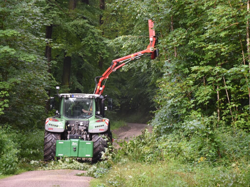 Im Grenzacher Forst mussten Spezialunternehmen abgerissene Bume und ste schneiden und entsorgen.