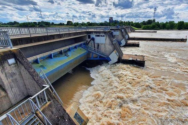 Die Polder am Oberrhein werden vorerst nicht geflutet