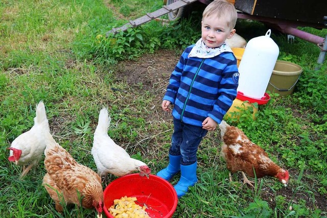 Der kleine Lias besucht gerne die Hhn...ls, am liebsten, wenn Kken schlpfen.  | Foto: Martha Weishaar