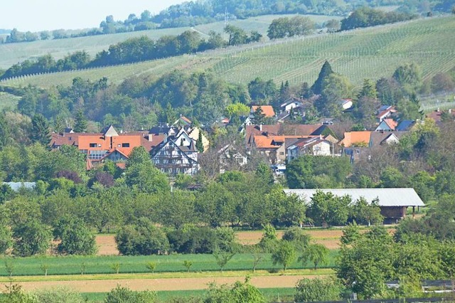 Blick auf Haltingen  | Foto: Hannes Lauber