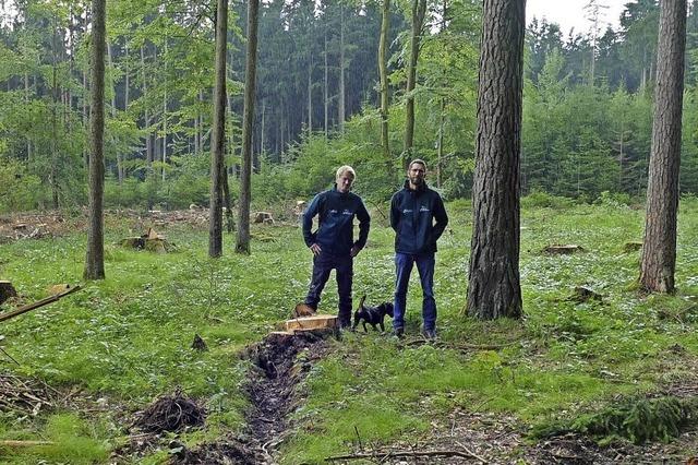 Schutzkonzept fr seltene Orchidee