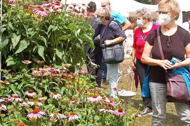 Fotos: Rheinfelder Gartenmesse Diga trotzt dem Regen