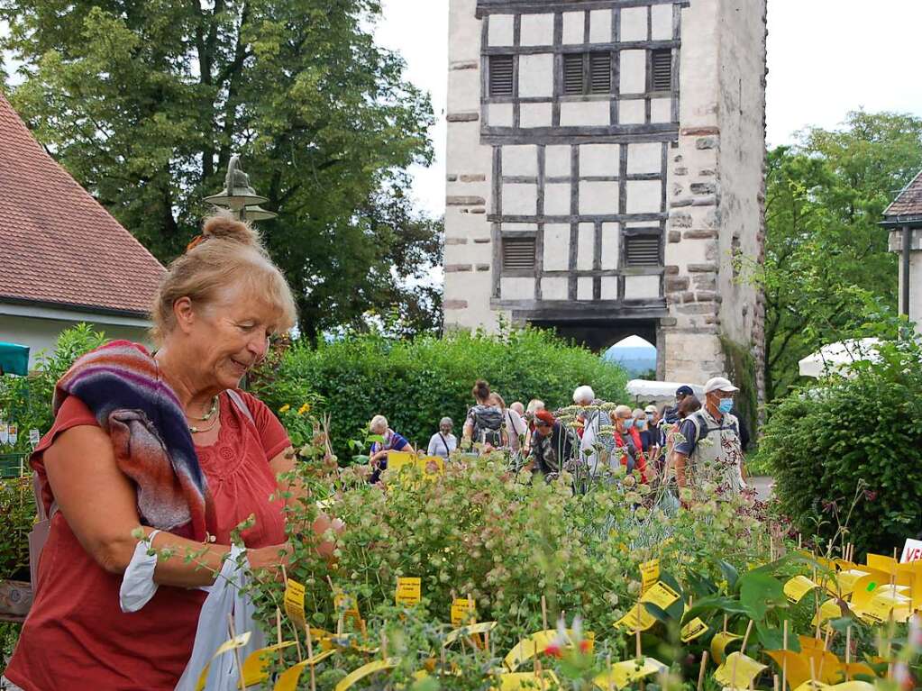 Pflanzen, Kunst und Kulinarisches: Die 18. Gartenmesse Diga hat an diesem Wochenende auf Schloss Beuggen stattgefunden.