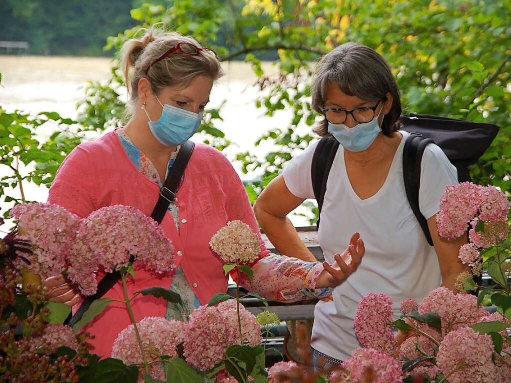 Pflanzen, Kunst und Kulinarisches: Die 18. Gartenmesse Diga hat an diesem Wochenende auf Schloss Beuggen stattgefunden.