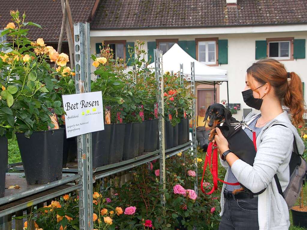 Pflanzen, Kunst und Kulinarisches: Die 18. Gartenmesse Diga hat an diesem Wochenende auf Schloss Beuggen stattgefunden.