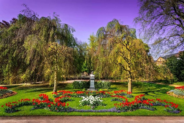 Der Stadtpark zeigt sich farbenfroh.  | Foto: Ronald Buck