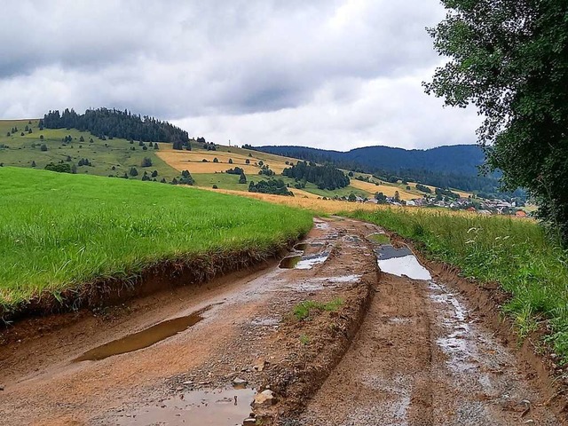 Schwere Schden an Wegen beklagten Mit...genehmigten Erddeponie transportieren.  | Foto: Sebastian Barthmes