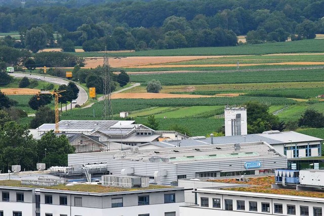 Westlich des bestehenden Gewerbegebiet...real Langacker-Weidenacker entwickeln.  | Foto: Markus Zimmermann