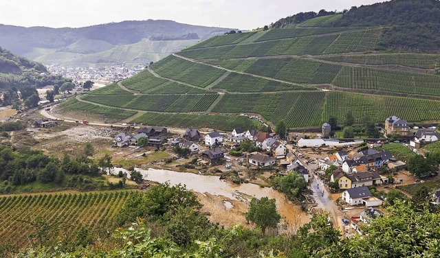 Weinberge im Ahrtal, das von verheeren...ffen ist, wie hier im Ort Marienthal.   | Foto: Philipp von Ditfurth (dpa)