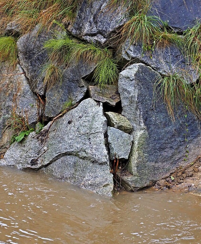 Durch den Damm drckt  Wasser.  | Foto: Herbert Frey