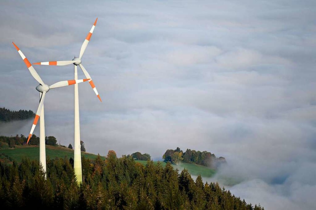 Windrder auf dem Blauen &#8211; das F...n die Mitglieder der Brgerinitiative.  | Foto: Patrick Seeger