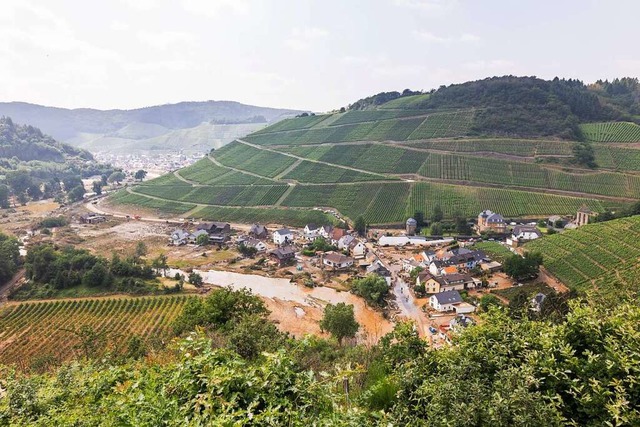 Im Ahrtal sind  auch die Weinbaubetrie... Folgen der Flutkatastrophe betroffen.  | Foto: Philipp von Ditfurth (dpa)