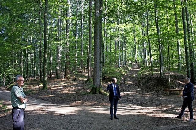 Hohe Nachfrage im Bestattungswald