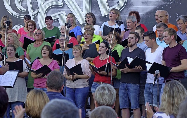 Das Open Air Konzert im Sommer 2019 wa...te des Gesangvereins vor der Pandemie.  | Foto: Roswitha Frey