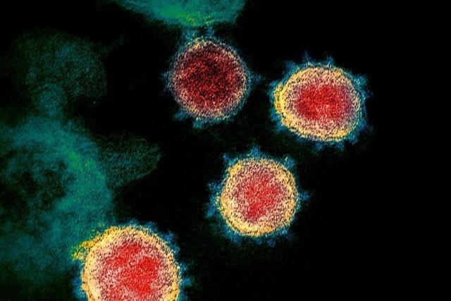 Peking lehnt weitere Untersuchungen zum Ursprung des Coronavirus ab