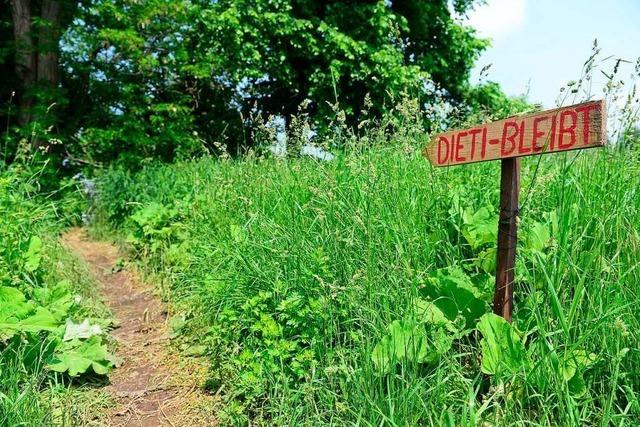 Umweltschtzer und Anwohner fordern Erhalt des Langmattenwldchens bei Freiburg-Rieselfeld