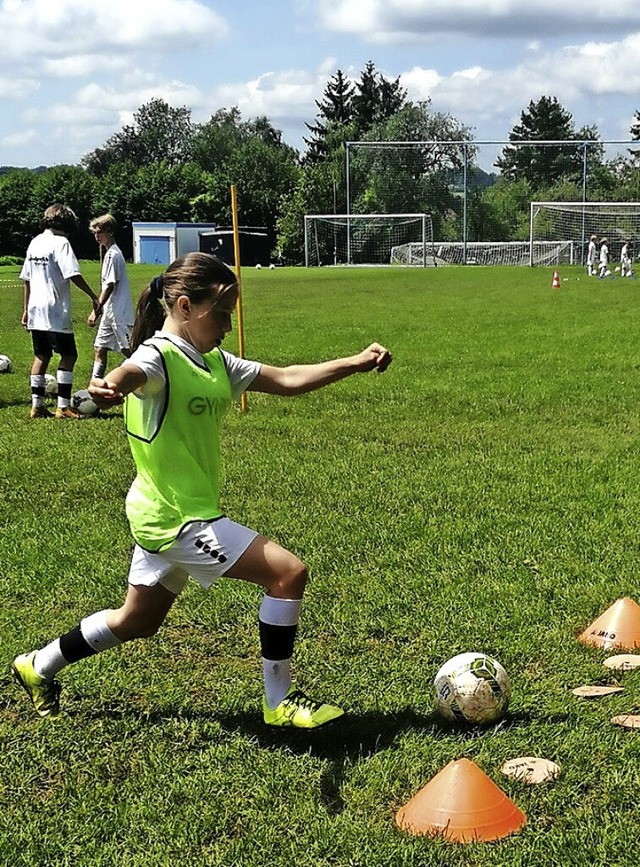 Beim Fuball-Camp des SV Ewattingen lernte der Nachwuchs vieles fr die Zukunft.  | Foto: Stefan Kech