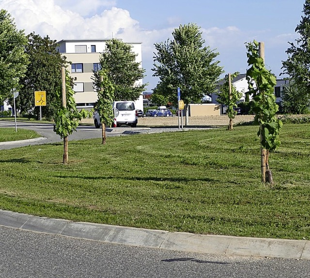 Rebstcke im Kreisverkehr  | Foto: Victoria Langelott