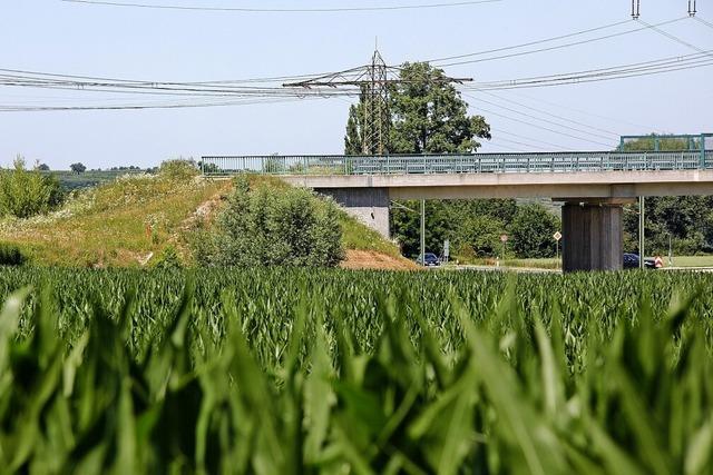 Echo auf B 31 West-Votum zweigeteilt