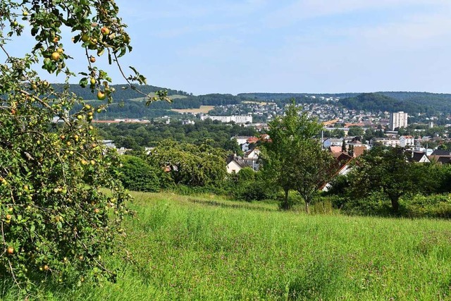 Auf diesen Grundstcken am Nordrand vo... mchte ein Investor Wohnhuser bauen.  | Foto: Thomas Loisl Mink