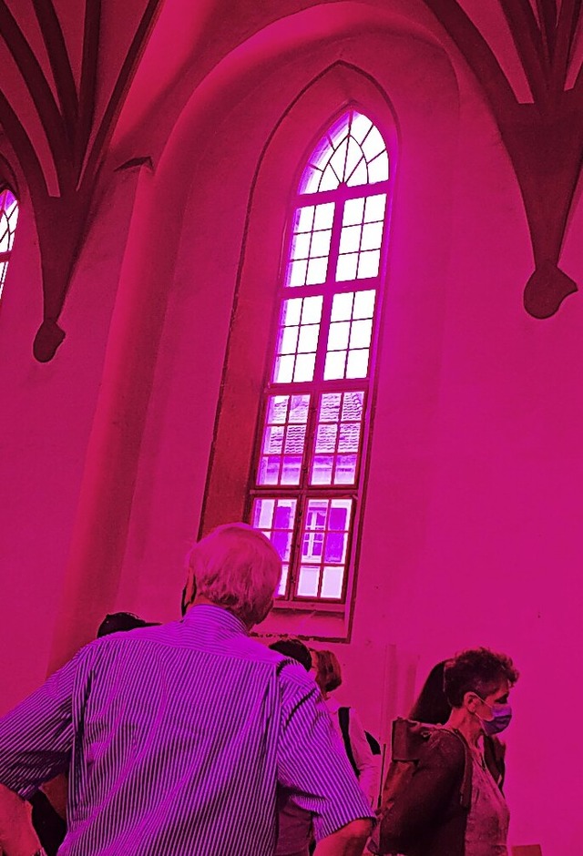 Erlebnis Farbe: In Purpurtne getaucht...tallation &#8222;Magenta sehen&#8220;.  | Foto: Roswitha Frey