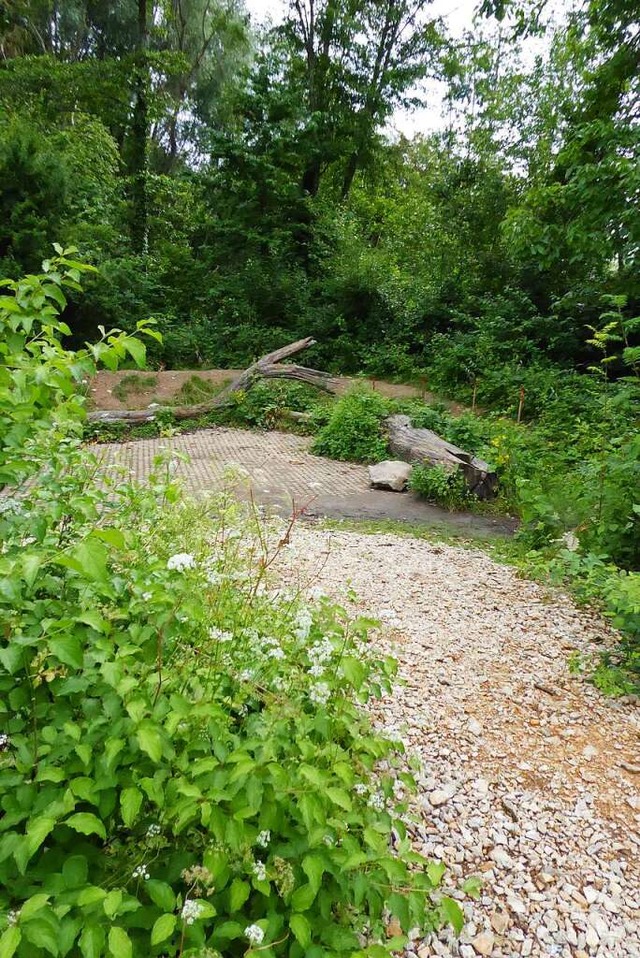 Die Vorarbeiten fr die Naturpark-Schu...s Klassenzimmer&#8220; soll entstehen.  | Foto: Sylvia-Karina Jahn