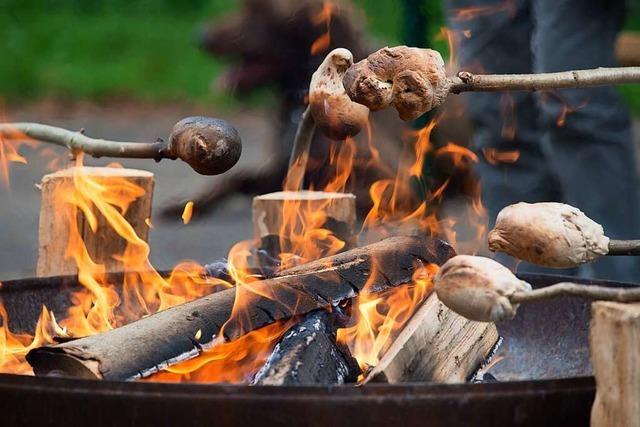 Grillstelle fr Jugendliche in Waldkirch wird dreimal so teuer wie gedacht