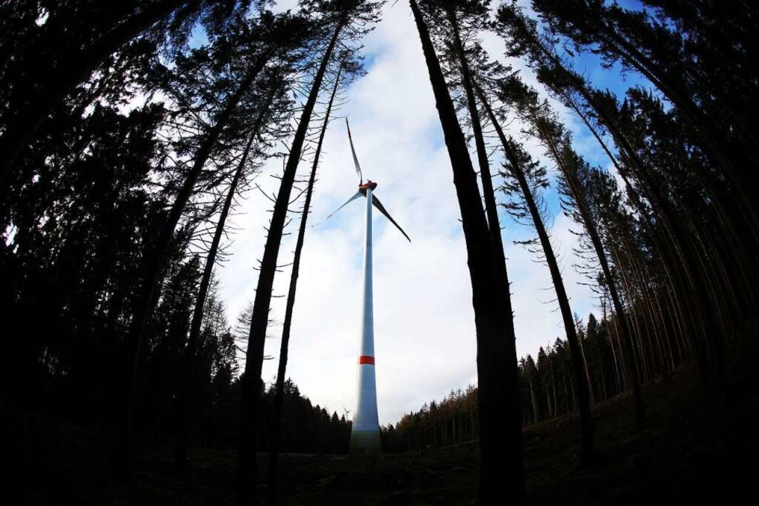 Windkraftausbau im Wald  | Foto: Oliver Berg