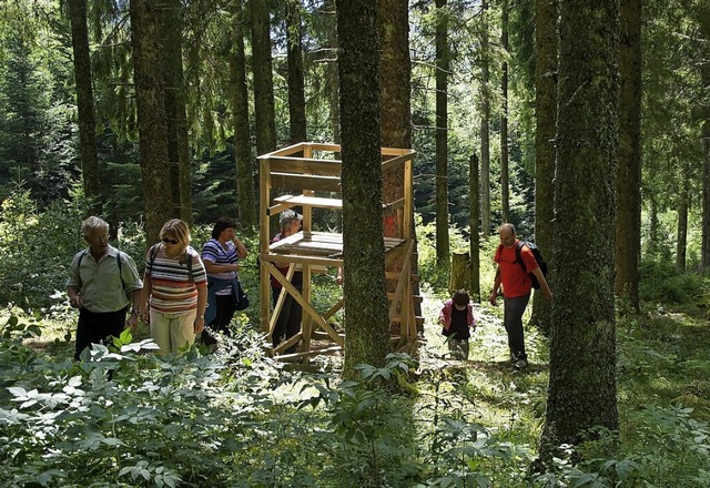 Viel los im Wald: Das merkt auch der Schwarzwaldverein Schluchsee.  | Foto: Schwarzwaldverein Schluchsee